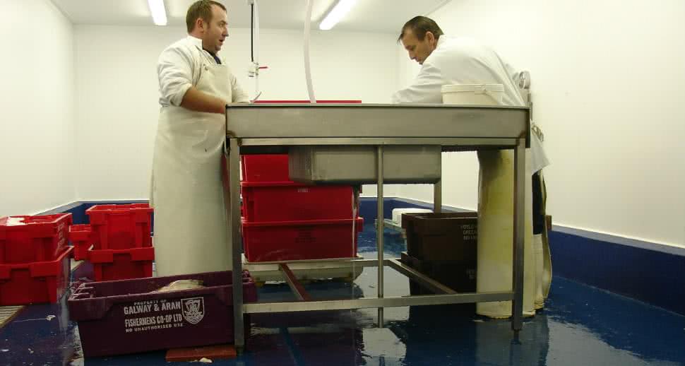 hygienic flooring for fish facility